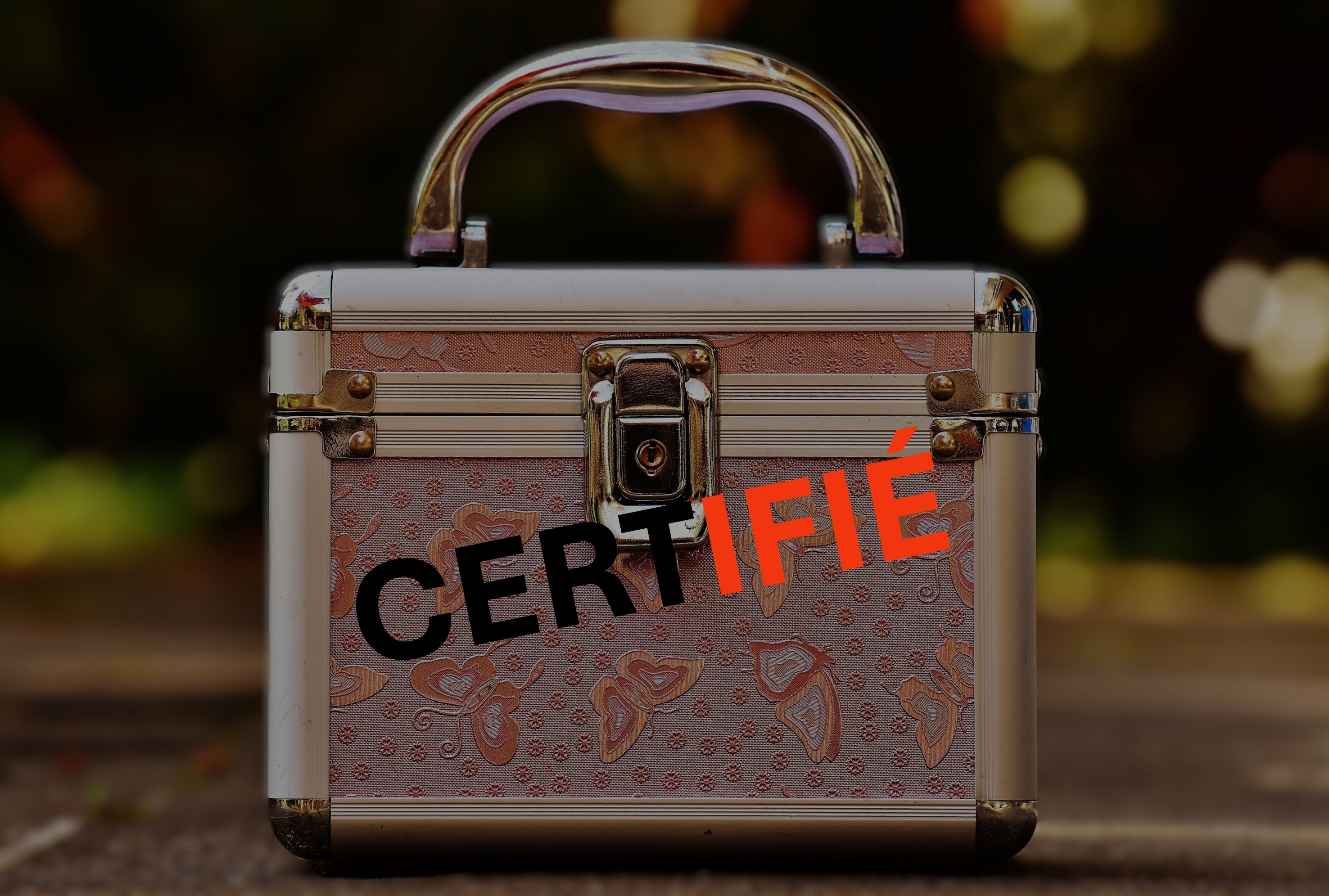 <center>📢 Mon article certifié en quelques minutes!